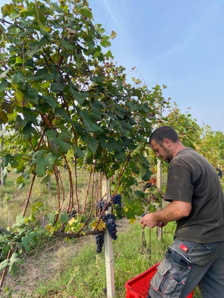 Agriturismo L'Antico Sapore Baraggia di Boca Kültér fotó
