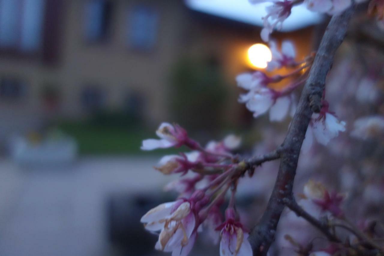 Agriturismo L'Antico Sapore Baraggia di Boca Kültér fotó